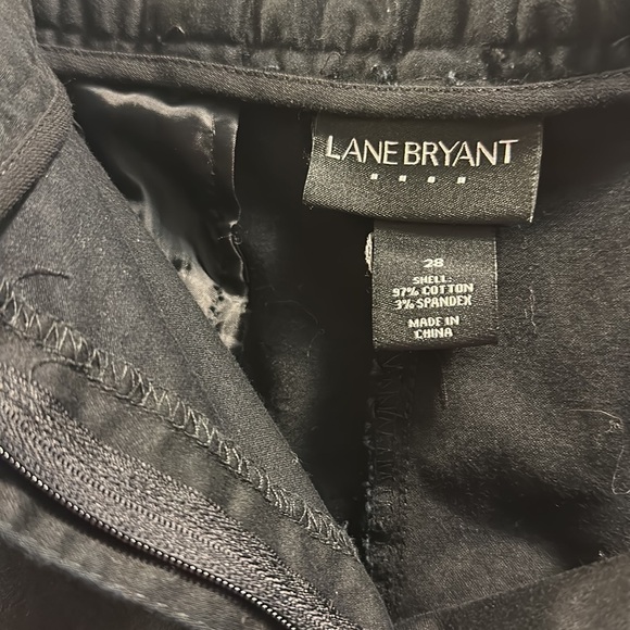 Lane Bryant Black Shorts Cotton/Spandex Blend. Size 28 - Picture 4 of 5